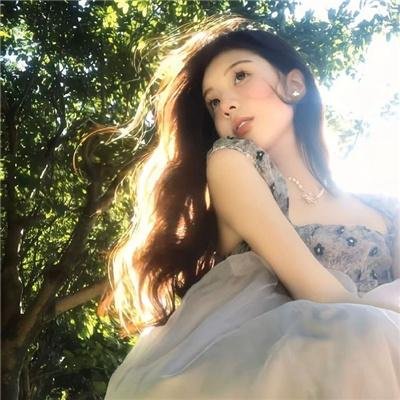 纽约侠客行